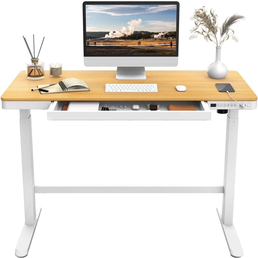 Flexispot EW8 scrivania regolabile in altezza